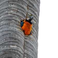 Galería de fotos Torneo FVG-VAGC, día domingo