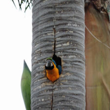 Galería de fotos Torneo FVG-VAGC, día domingo