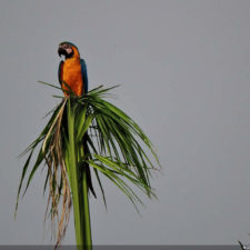 Galería de fotos Torneo FVG-VAGC, día domingo