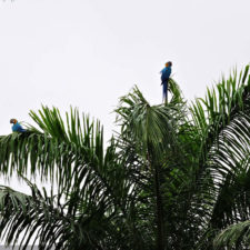 Galería de fotos Torneo FVG-VAGC, día sábado