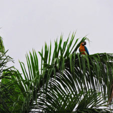 Galería de fotos Torneo FVG-VAGC, día sábado