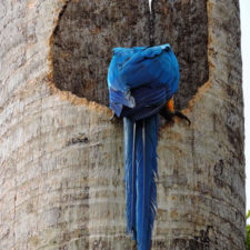 Galería de fotos Torneo FVG-VAGC, día sábado