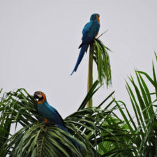 Galería de fotos Torneo FVG-VAGC, día sábado