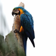 Galería de fotos Torneo FVG-VAGC, día sábado