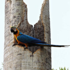 Galería de fotos Torneo FVG-VAGC, día sábado