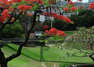 Galería, Valle Arriba Golf Club la terraza del Ávila