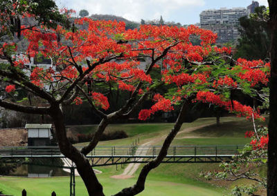 Galería, Valle Arriba Golf Club la terraza del Ávila