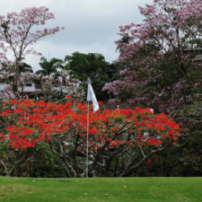 Galería ronda final Abierto Sambil Juvenil