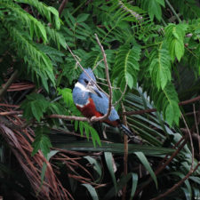 Galería segunda ronda 1er Abierto Sambil Juvenil