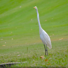 Galería segunda ronda 1er Abierto Sambil Juvenil