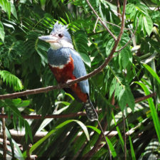 Galería segunda ronda 1er Abierto Sambil Juvenil