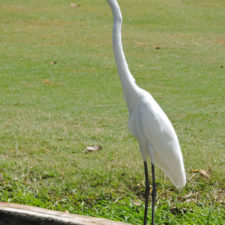 Galería segunda ronda 1er Abierto Sambil Juvenil