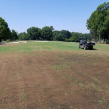 Daños causados por la competencia que la resiembra de rye grass genera a la bermuda