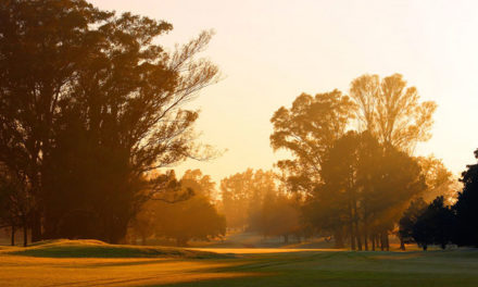 Turkish Airlines trae su 5ª Copa Mundial de Golf a Buenos Aires