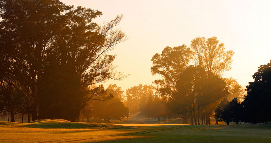 Turkish Airlines trae su 5ª Copa Mundial de Golf a Buenos Aires