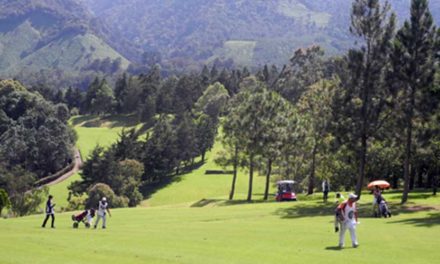 Alta Vista fue la sede del 4to. Ranking Infanto Juvenil