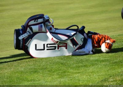 Galería 42º Ryder Cup, día domingo