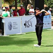 Galería The Green Carpet