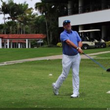 Galería The Green Carpet