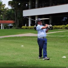 Galería The Green Carpet