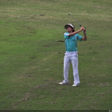 Galería The Green Carpet