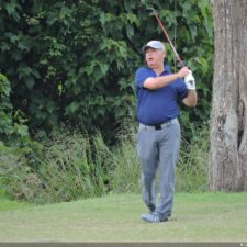 Galería The Green Carpet