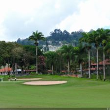 Galería The Green Carpet