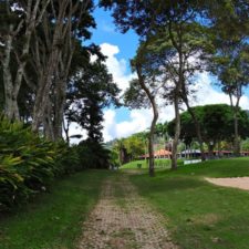 Galería The Green Carpet