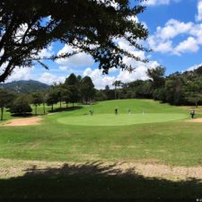 Galería The Green Carpet