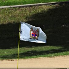 Galería The Green Carpet