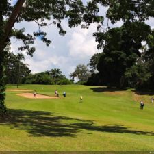 Galería The Green Carpet