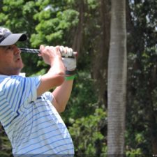 Galería The Green Carpet