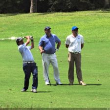 Galería The Green Carpet