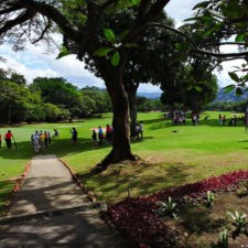 Galería, Torneo Juvenil de la Federación Venezolana de Golf