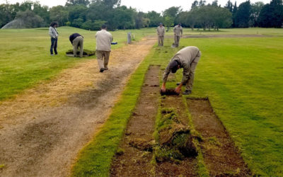 En el marco del Proyecto 90º Aniversario, la AAG envió un embarque de TifEagle a Estancia El Terrón