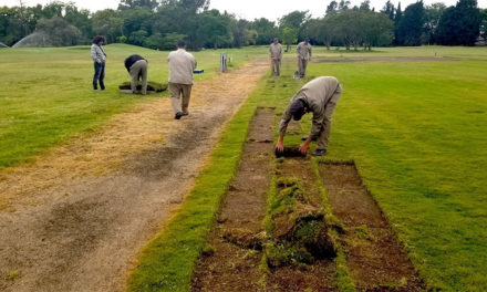 En el marco del Proyecto 90º Aniversario, la AAG envió un embarque de TifEagle a Estancia El Terrón