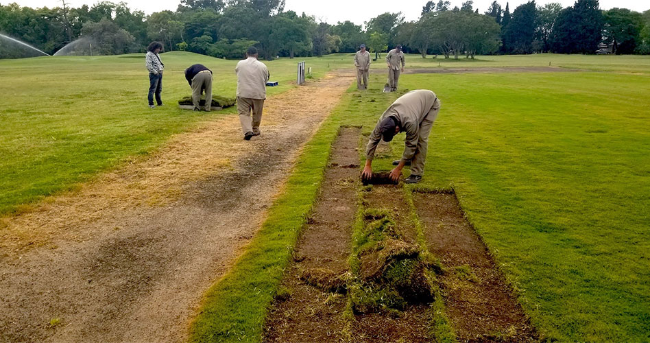 En el marco del Proyecto 90º Aniversario, la AAG envió un embarque de TifEagle a Estancia El Terrón