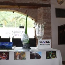 Galería XV Abierto Sambil, día domingo