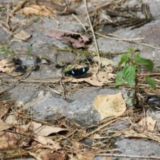 Galería XV Abierto Sambil, día sábado