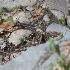 Galería XV Abierto Sambil, día sábado