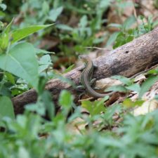 Galería XV Abierto Sambil, día sábado