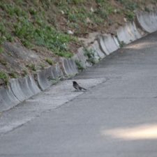 Galería XV Abierto Sambil, día sábado