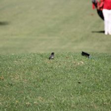 Galería XV Abierto Sambil, día sábado