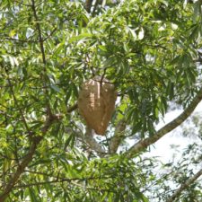 Galería XV Abierto Sambil, día viernes
