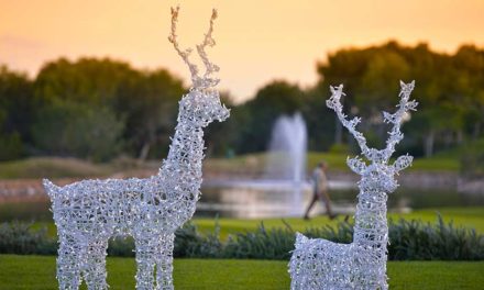 Celebre la Navidad y de la bienvenida al 2019 en Las Colinas Golf & Country Club, un mundo aparte
