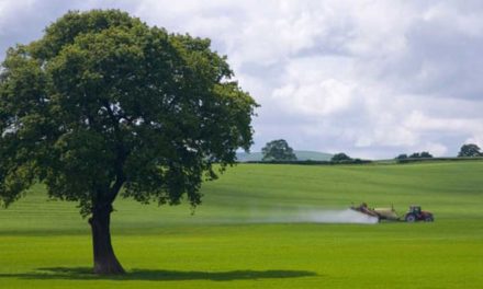 La UE prohíbe los pesticidas más utilizados en el Reino Unido por temor a la salud y al medio ambiente