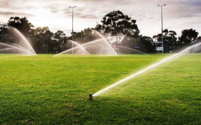 Evitar el exceso de riego para prevenir enfermedades de las plantas