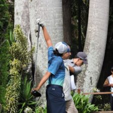 Galería, 1a Ronda II Abierto Sambil Juvenil