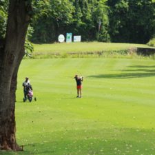 Galería XVI Abierto Sambil, día sábado