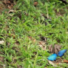 Galería XVI Abierto Sambil, día sábado